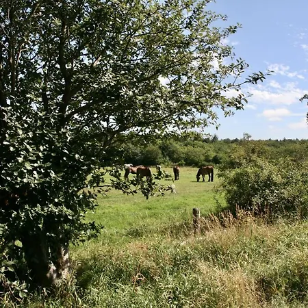 Quartier Hohe Geest 14 *