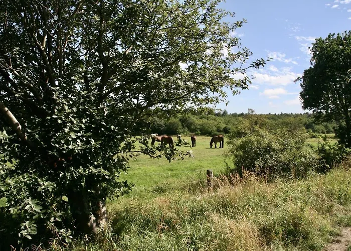 Quartier Hohe Geest 14 *